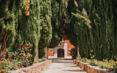 Jüdische Hochzeiten auf spanischem Weinberg